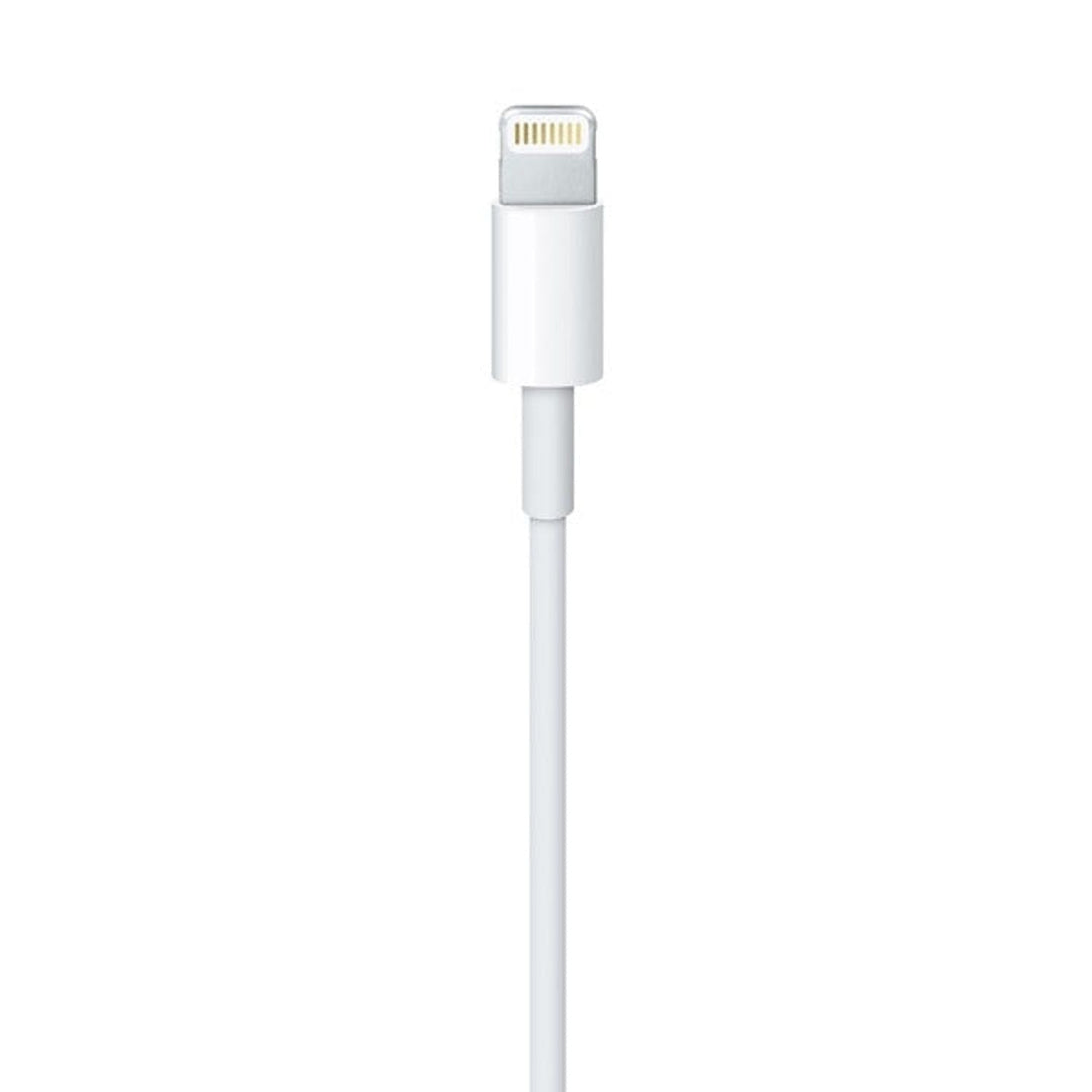 Cable Lightning a USB Apple
