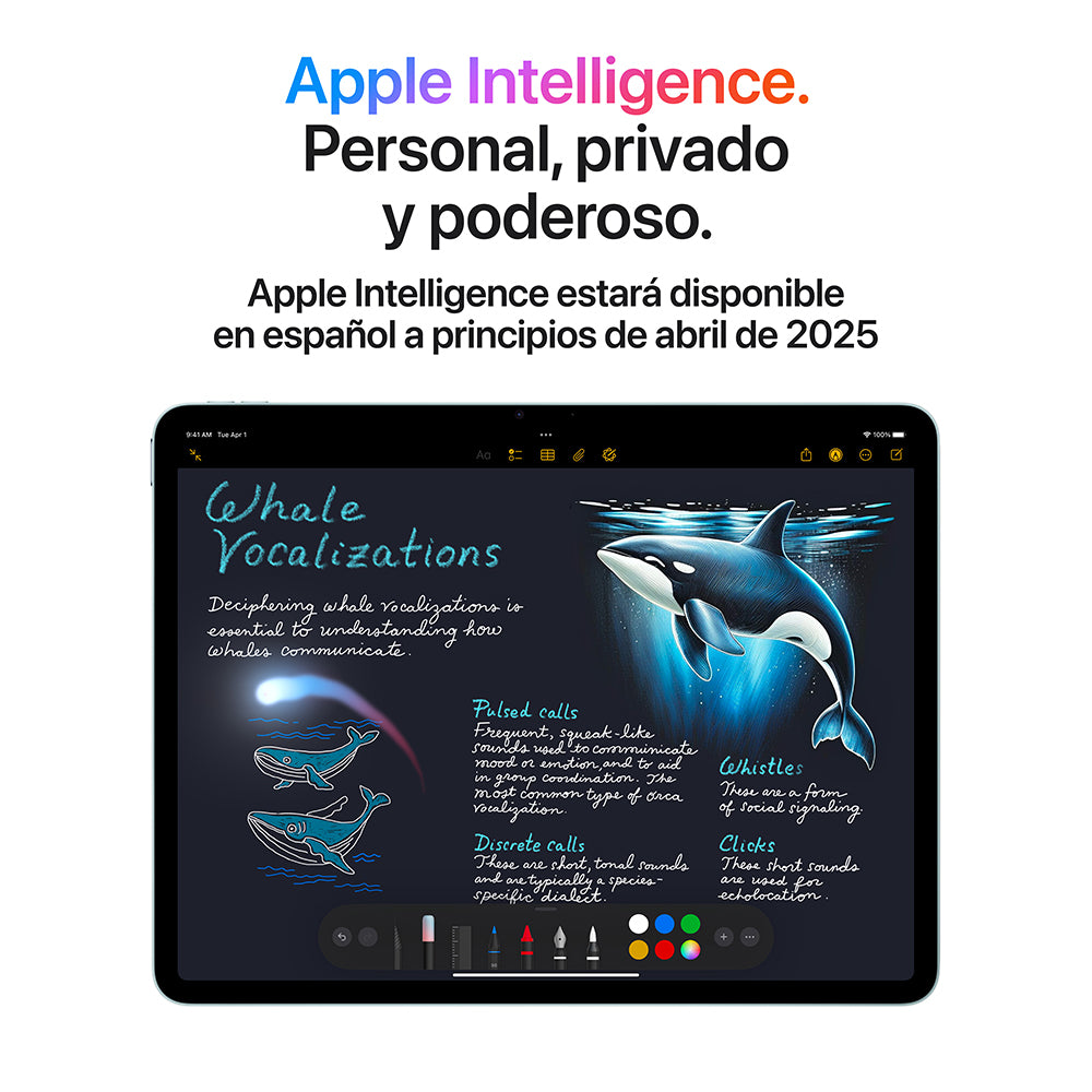 iPad Air 13 M3 WiFi 128GB gris espacial - Caja con detalles