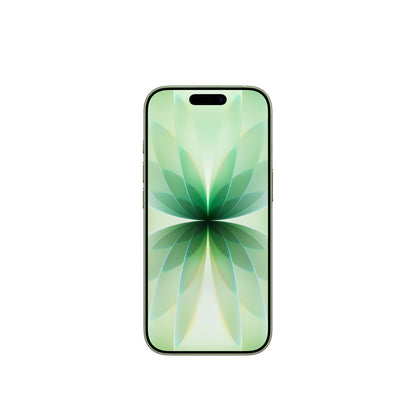 iPhone 17