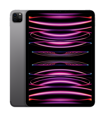 Pad Pro 11 M2 4Gen Wi-Fi + Cellular