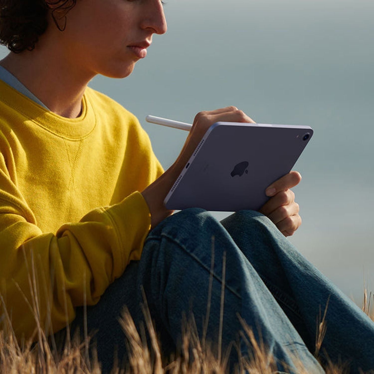 iPad mini 8.3 6ª gen WiFi + Cellular