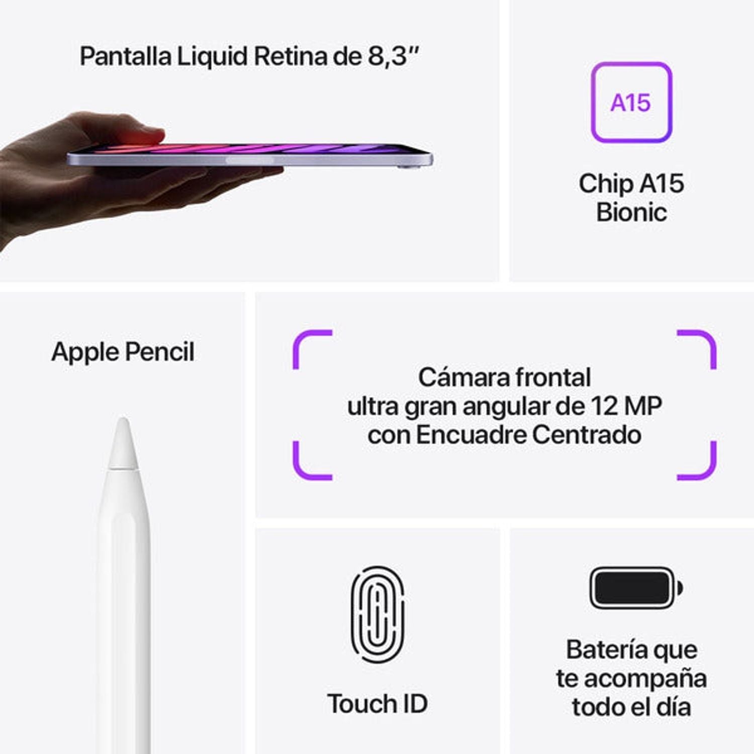iPad mini 8.3 6ª gen WiFi + Cellular