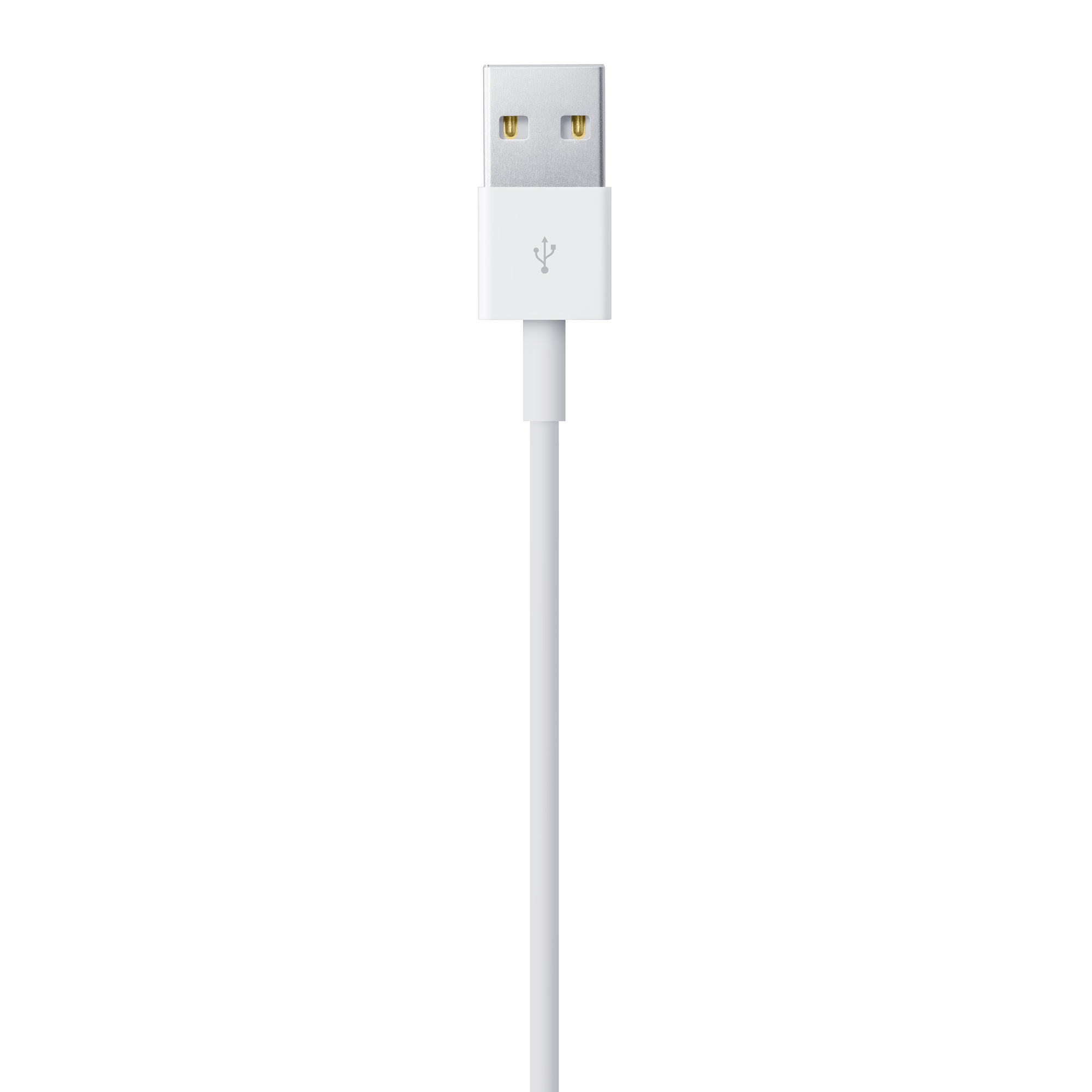 Cable Lightning USB Apple 2.0 Mt